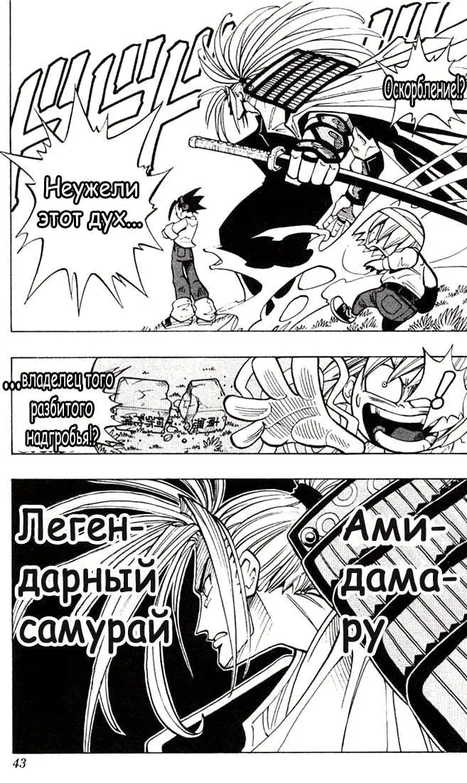 Страница 40