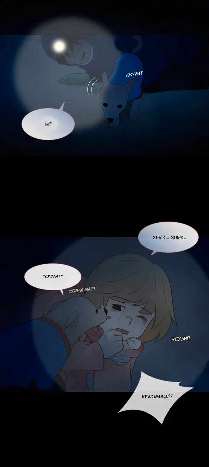 Страница 17