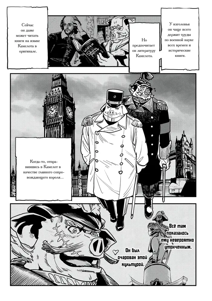Страница 13