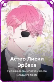 Астер Лиски Эрбаха