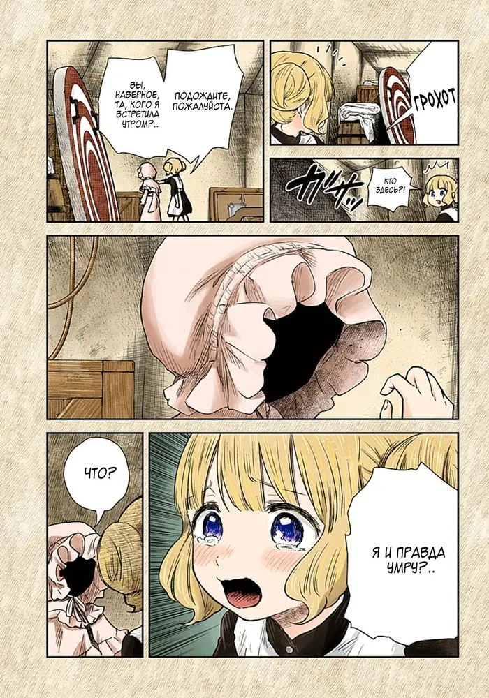 Страница 5