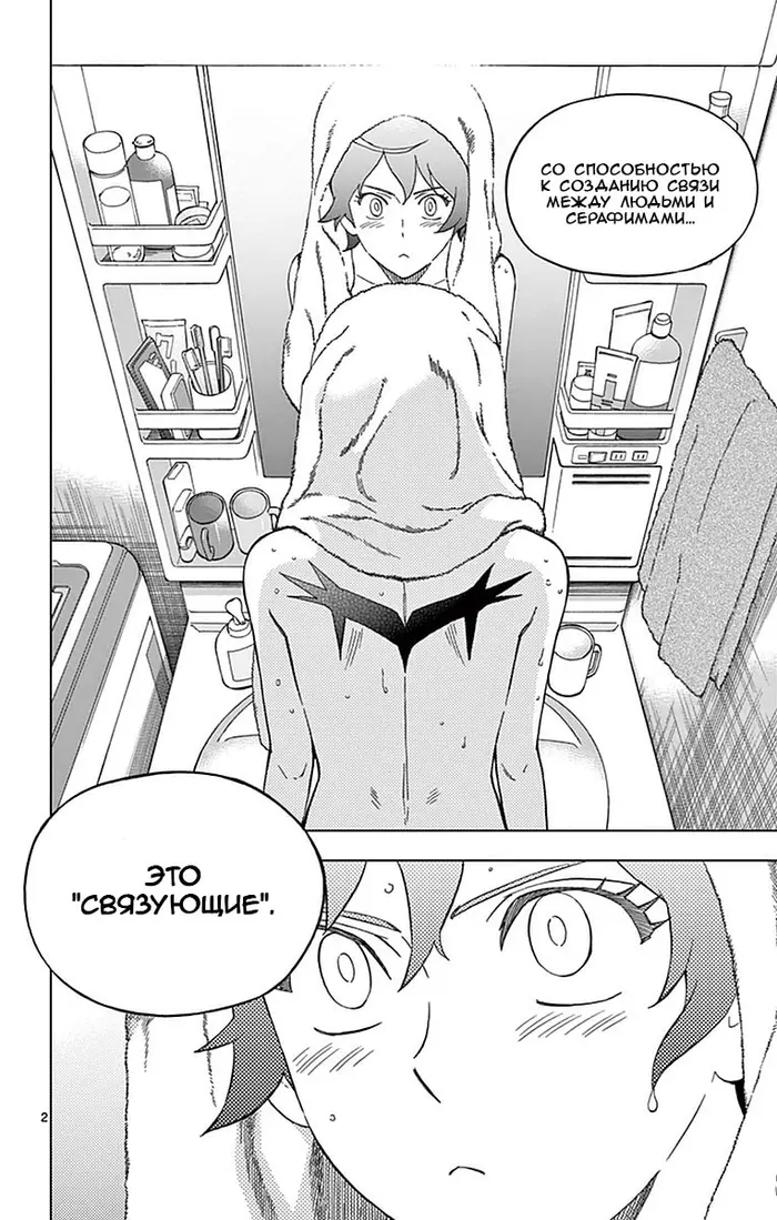 Страница 2