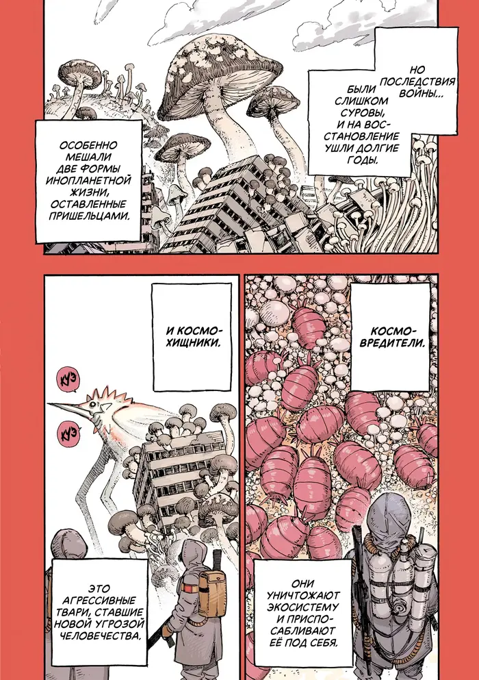 Страница 5