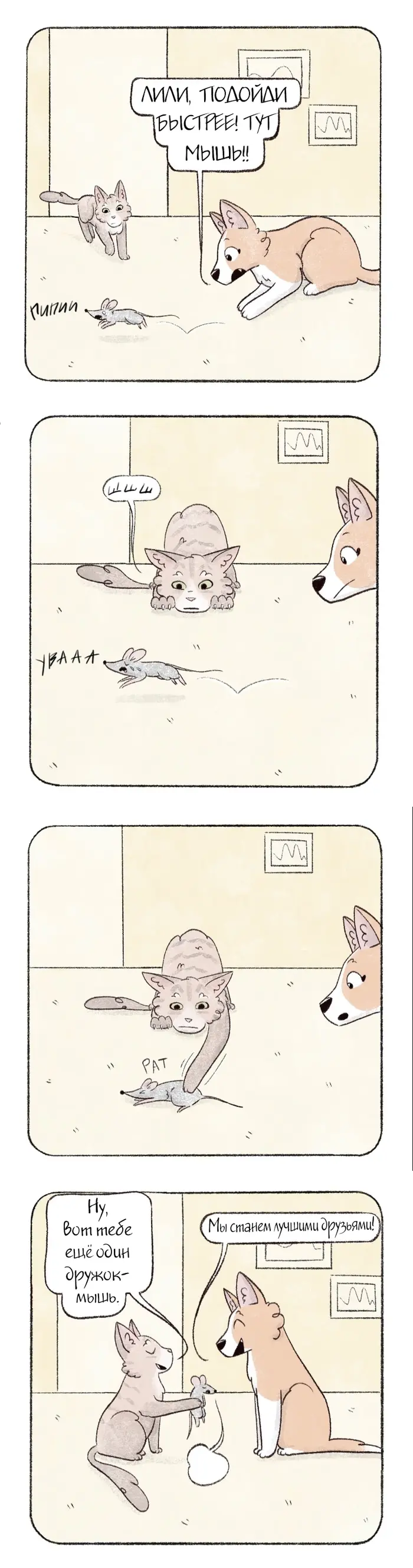 Страница 1