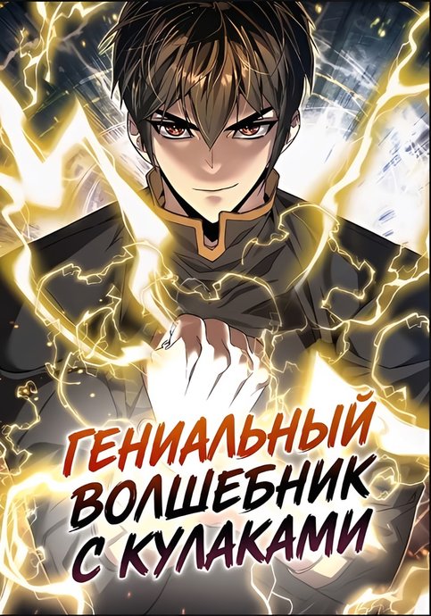 The Genius Mage Who Uses His Fists