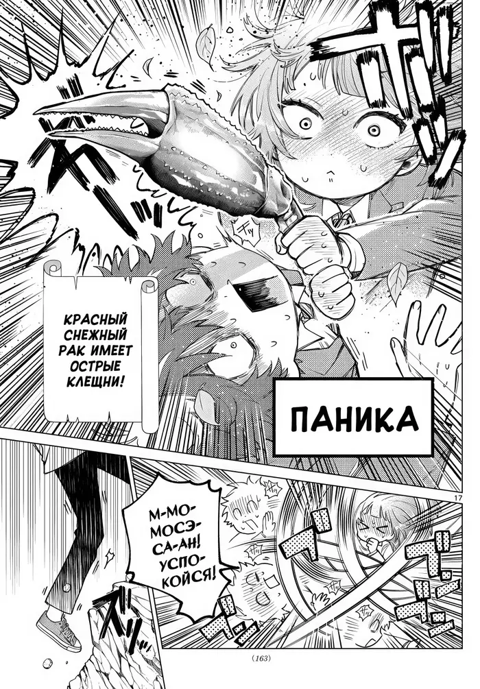 Страница 17