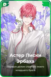 Астер Лиски Эрбаха