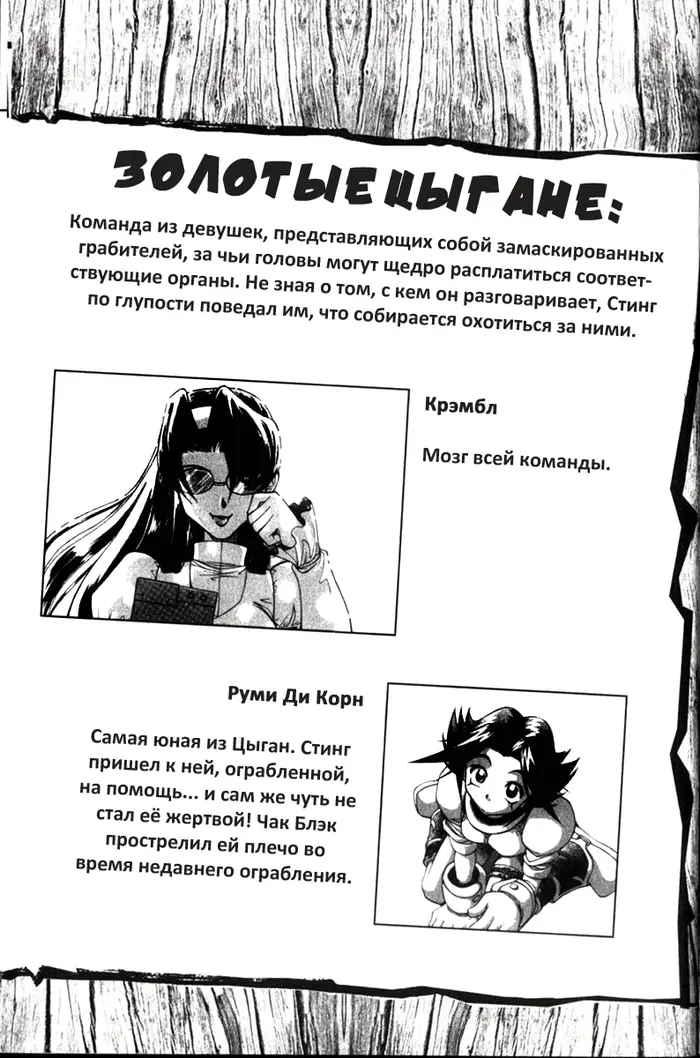 Страница 11