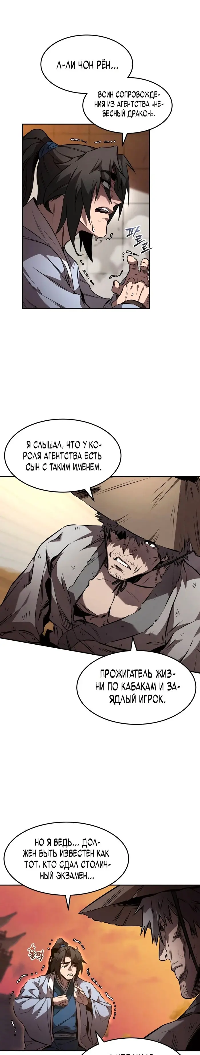 Страница 17