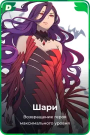 Шари
