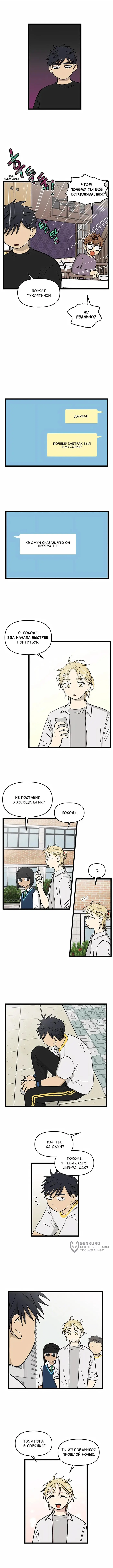 Страница 5