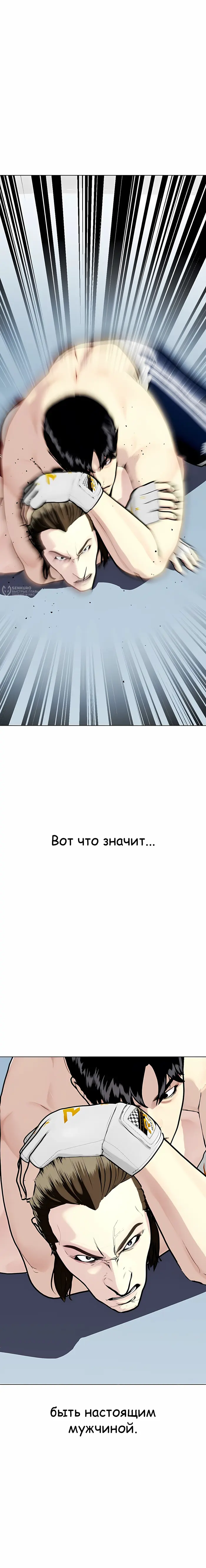 Страница 43