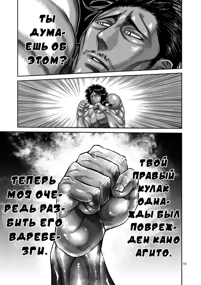 Страница 15