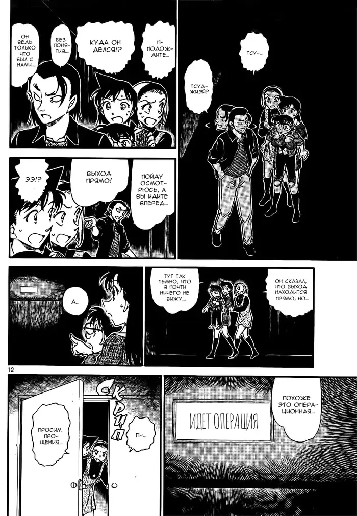 Страница 12