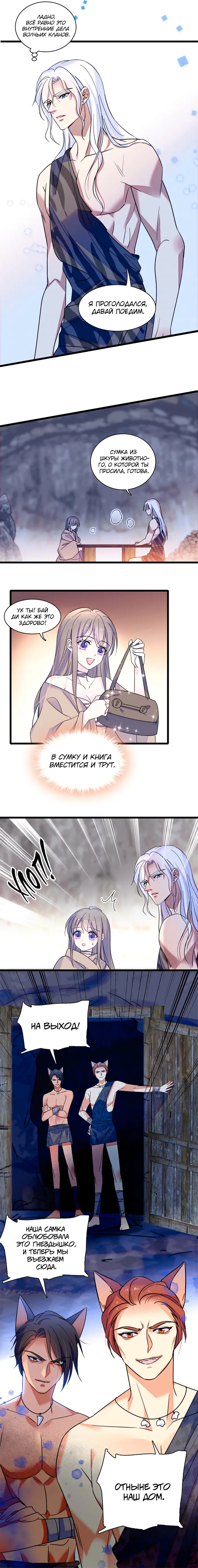 Страница 5