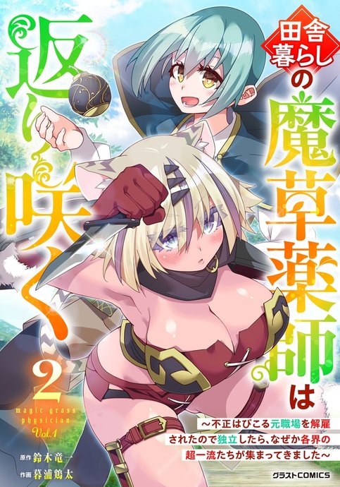 Inaka Gurashi no Masou Yakushi wa Kaerisaku ~Fusei Habikoru Moto Shokuba wo Kaiko Sareta node Dokuritsu Shitara, Naze ka Kakkai no Chouryuu-tachi ga Atsumatte Kimashita~