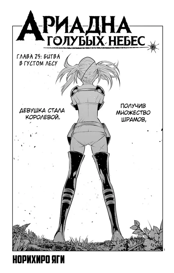 Страница 1
