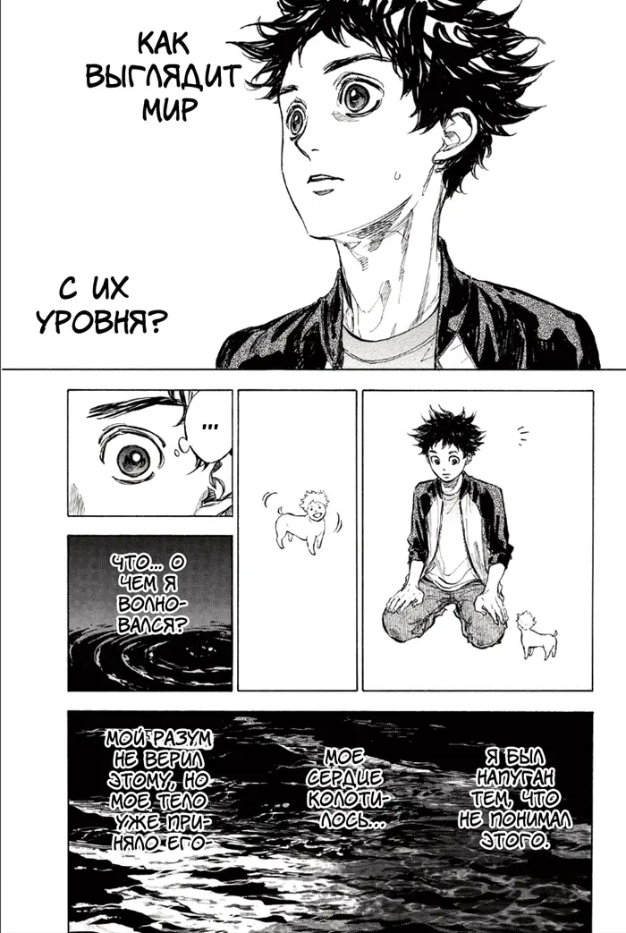 Страница 31