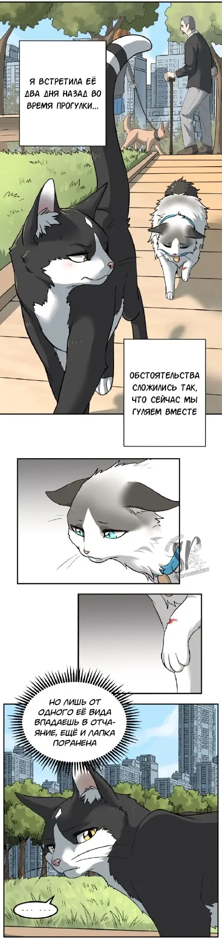 Страница 3