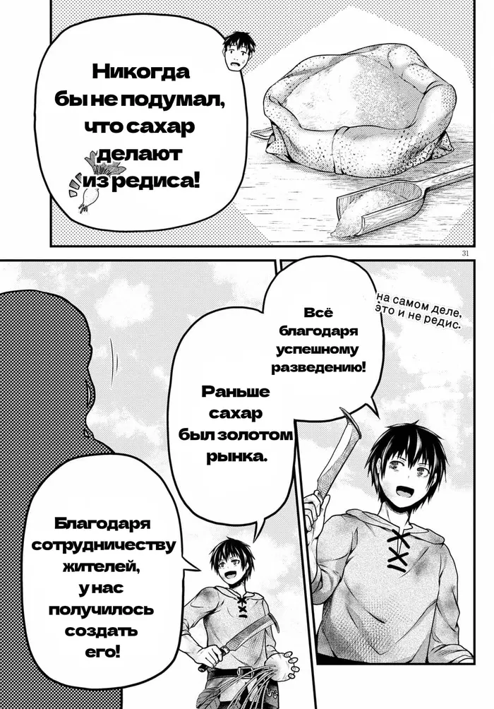 Страница 31