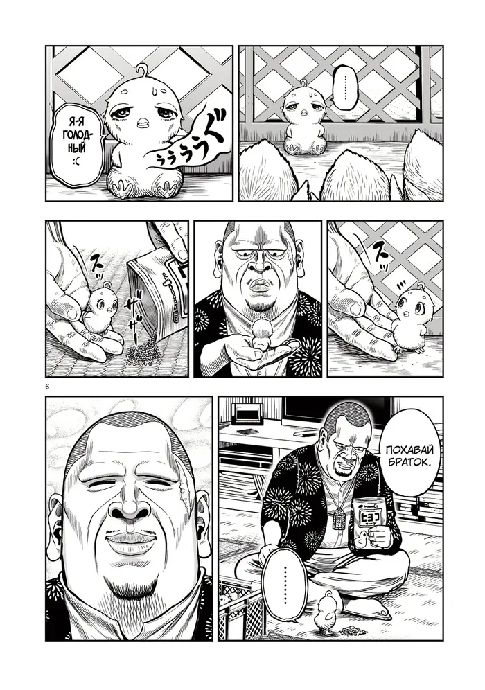Страница 6