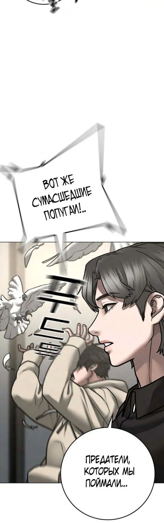 Страница 55