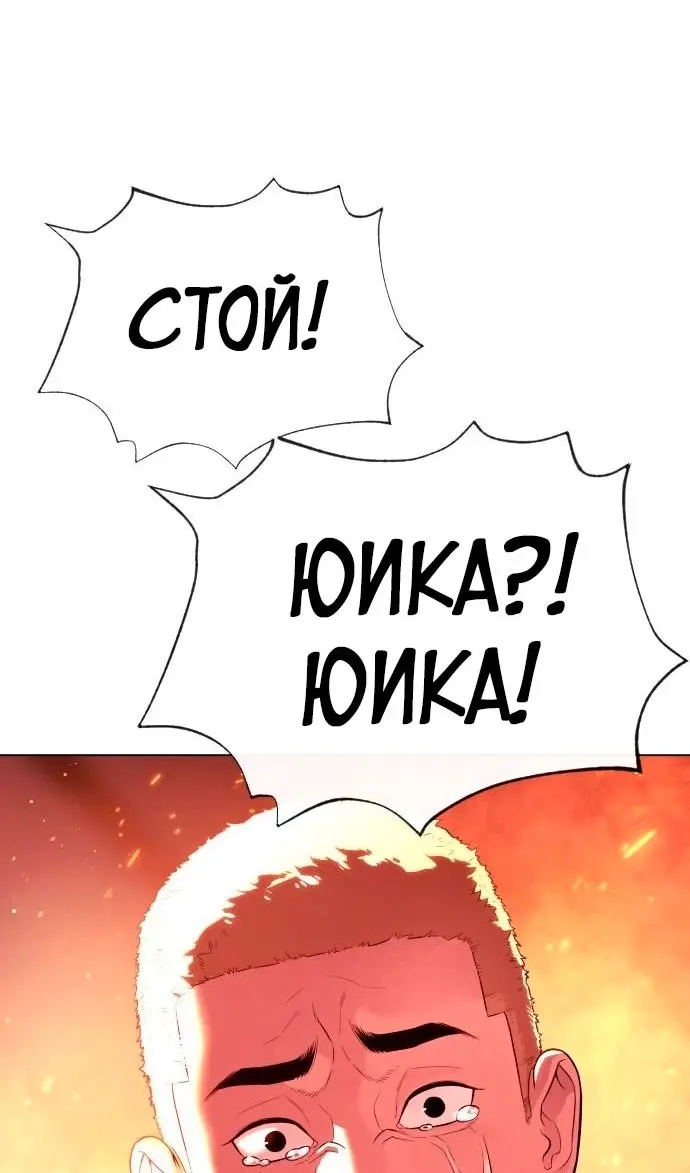 Страница 217