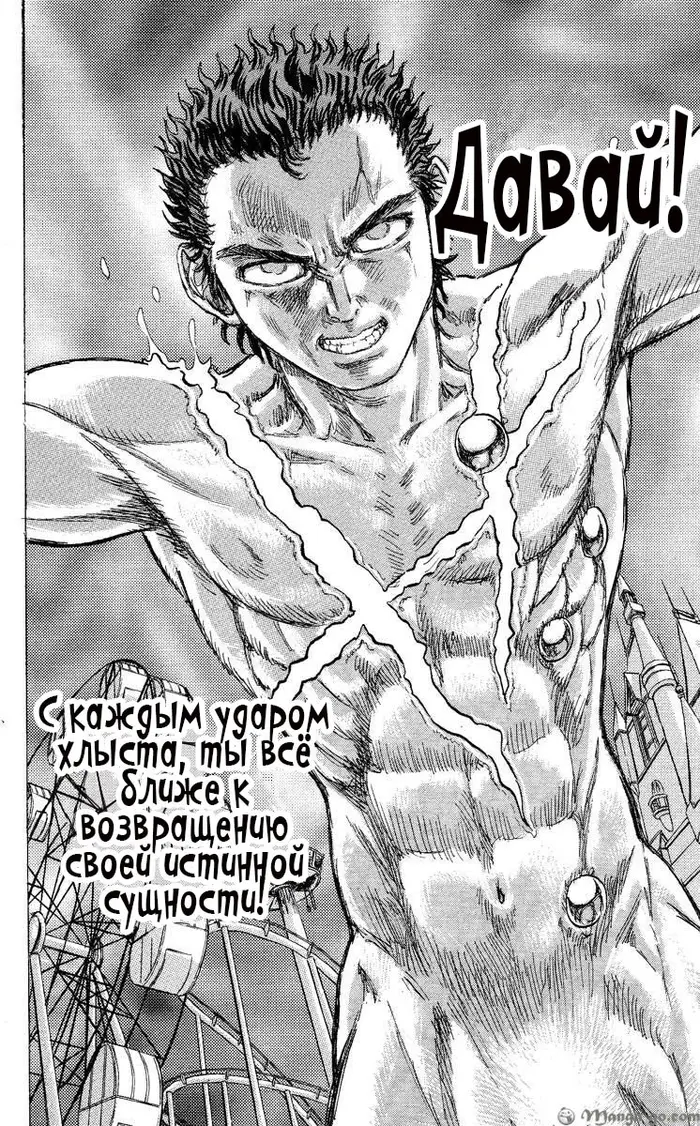 Страница 11