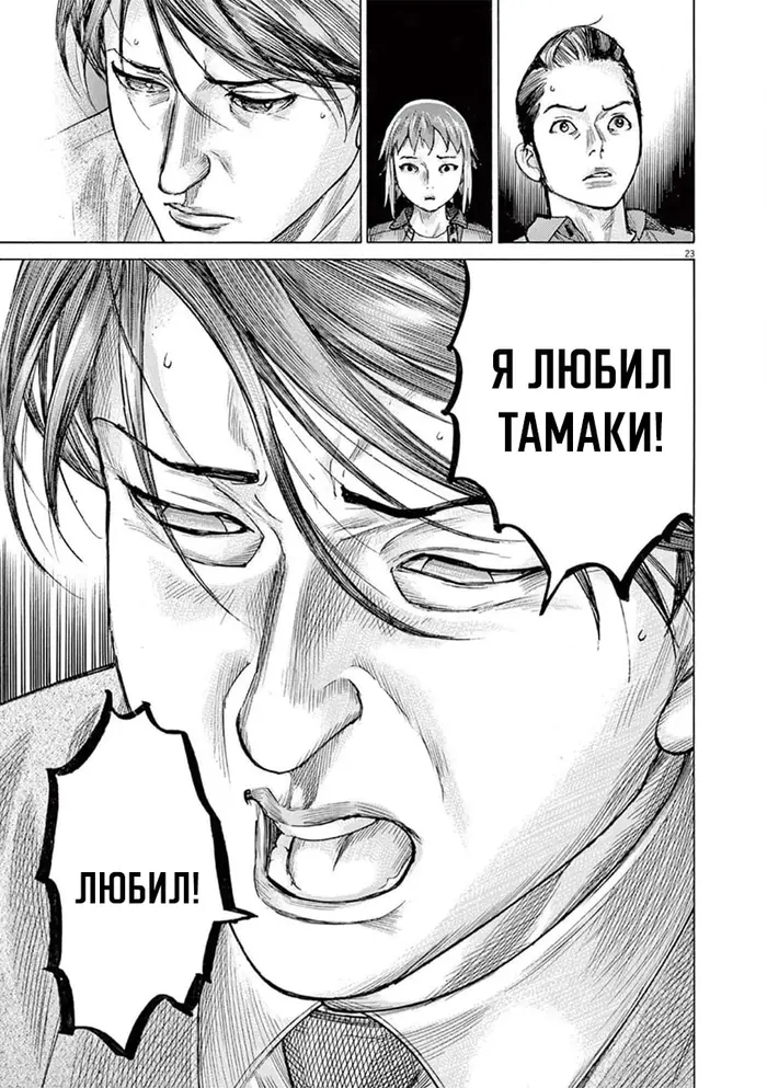 Страница 23