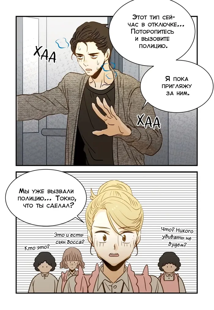 Страница 17