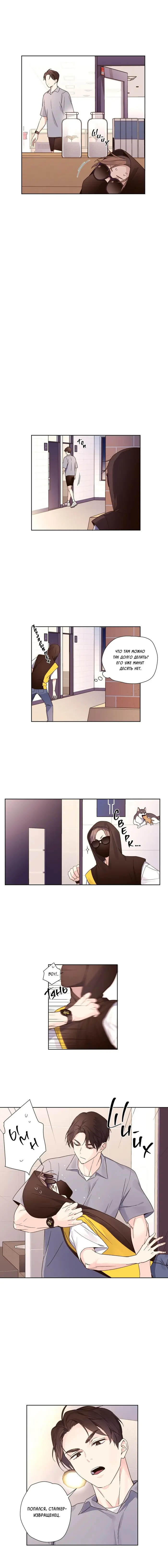 Страница 5