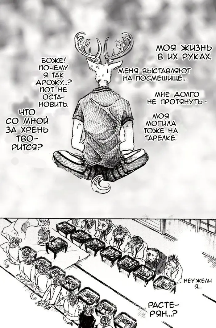Страница 17