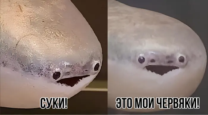 Страница 6