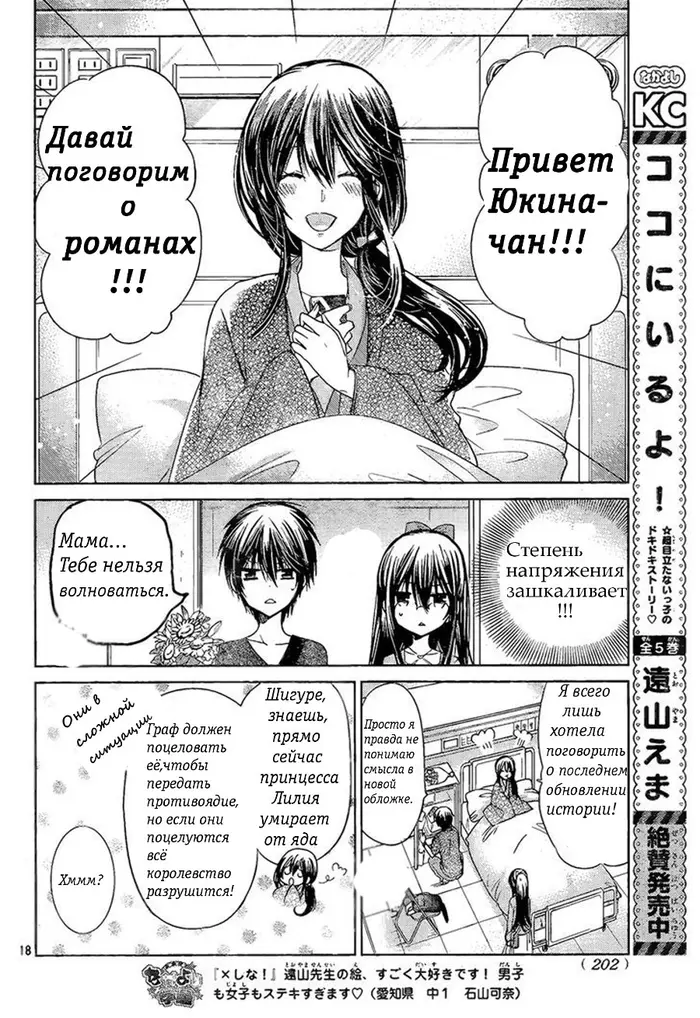 Страница 17