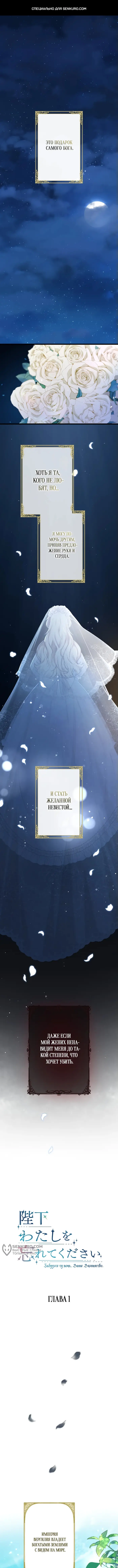 Страница 1