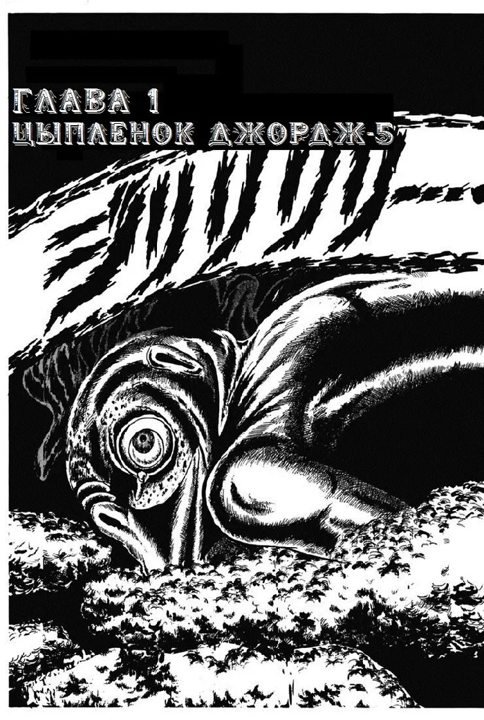 Страница 1