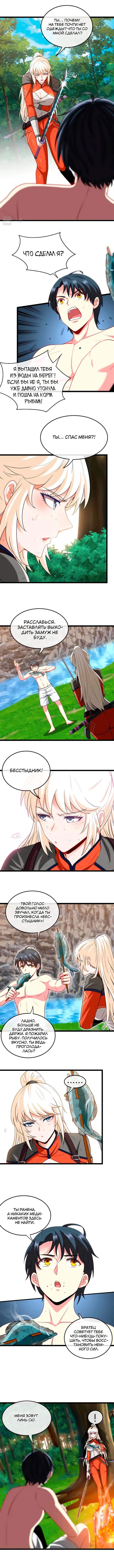 Страница 3