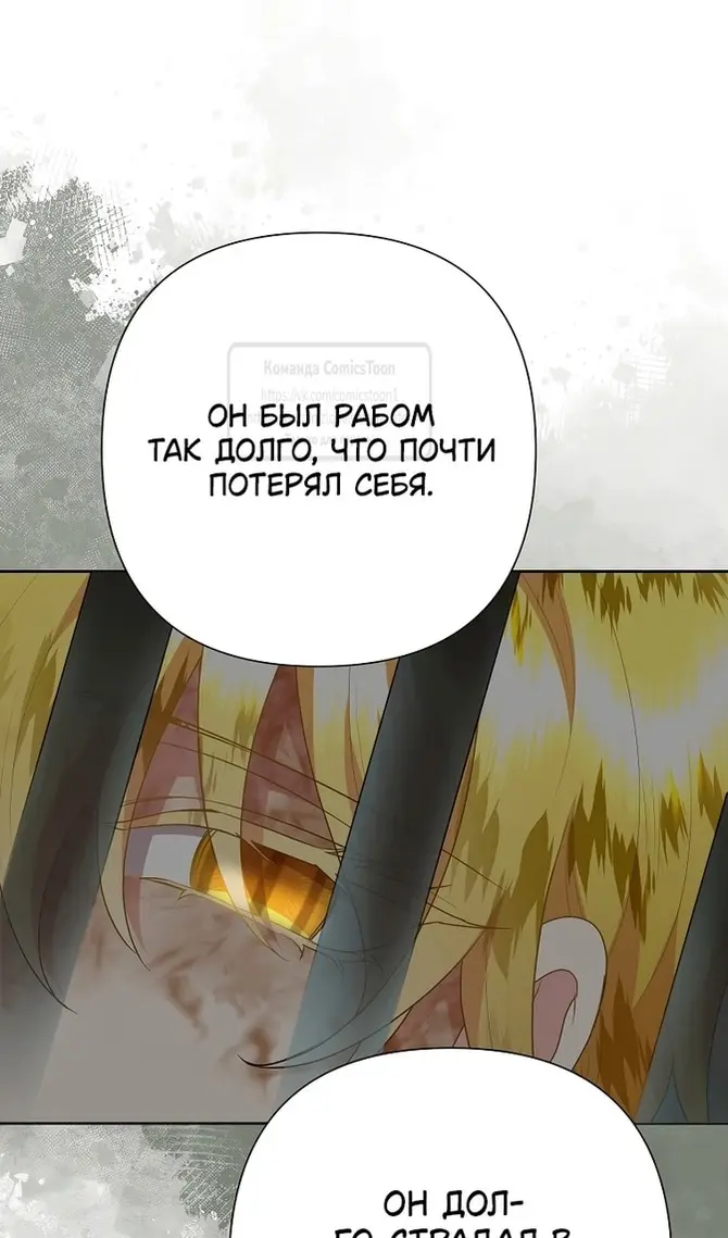 Страница 67