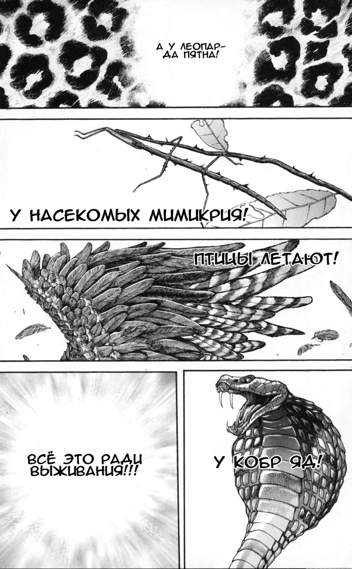Страница 15
