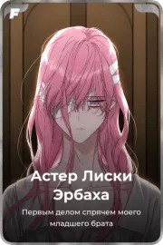 Астер Лиски Эрбаха