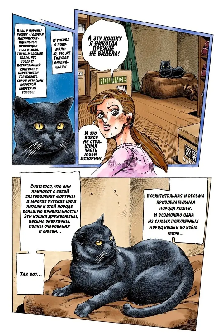 Страница 7