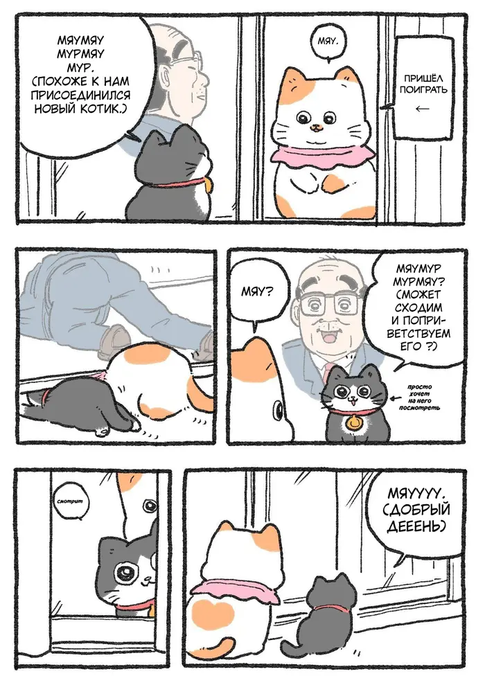 Страница 1