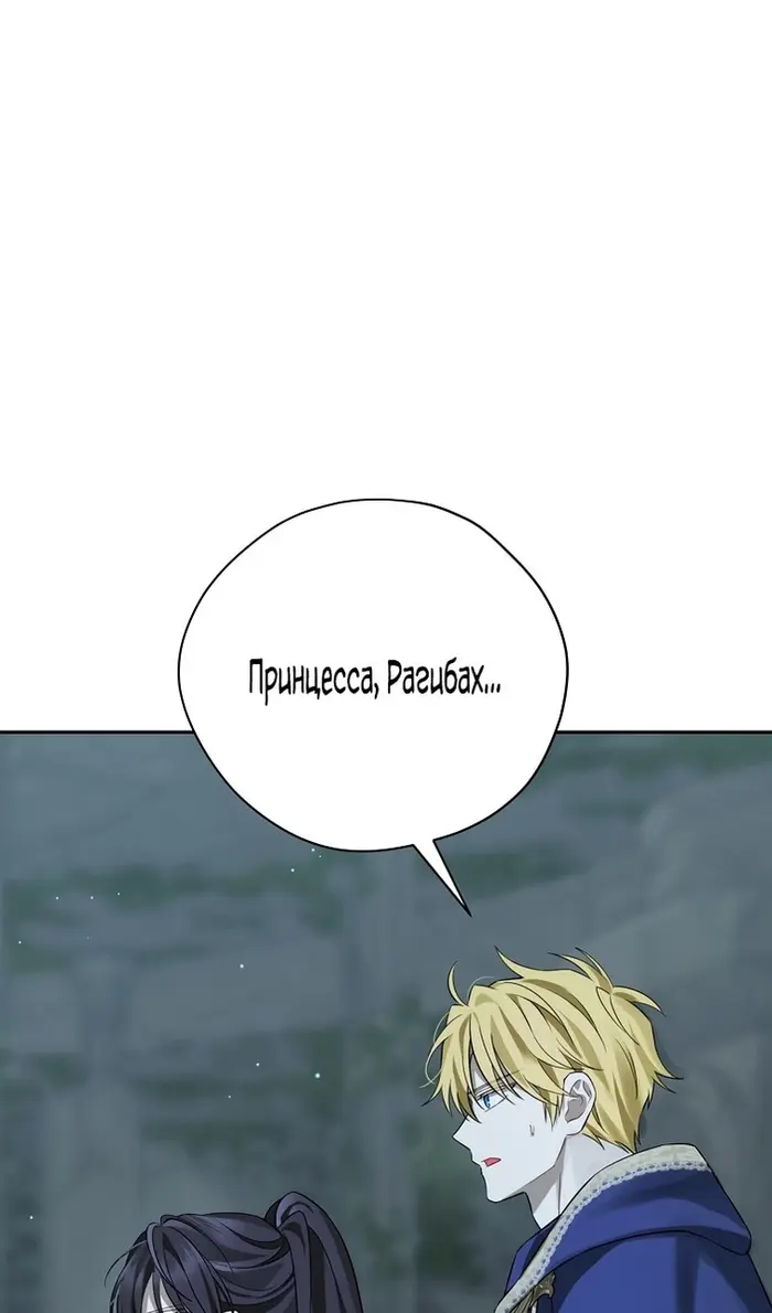 Страница 110