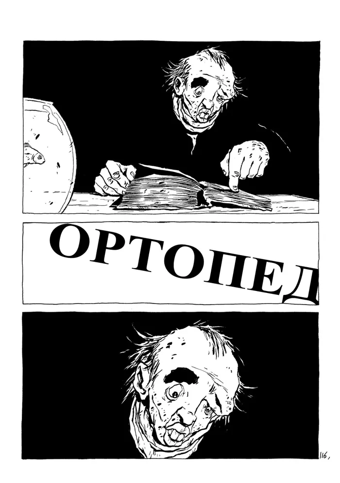 Страница 116