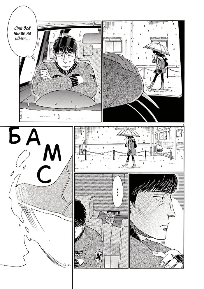 Страница 5