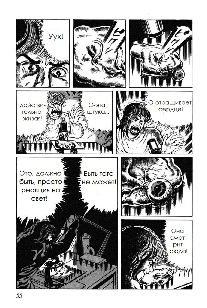 Страница 11