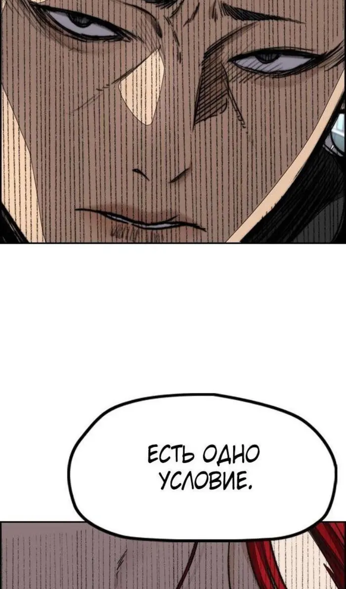 Страница 113