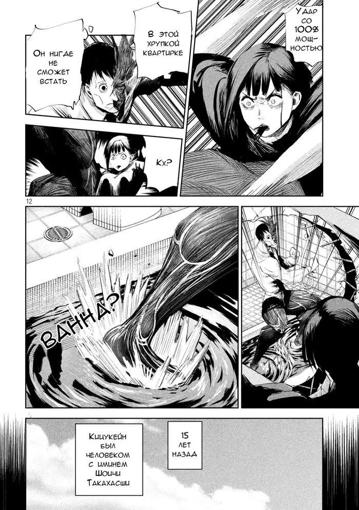 Страница 12