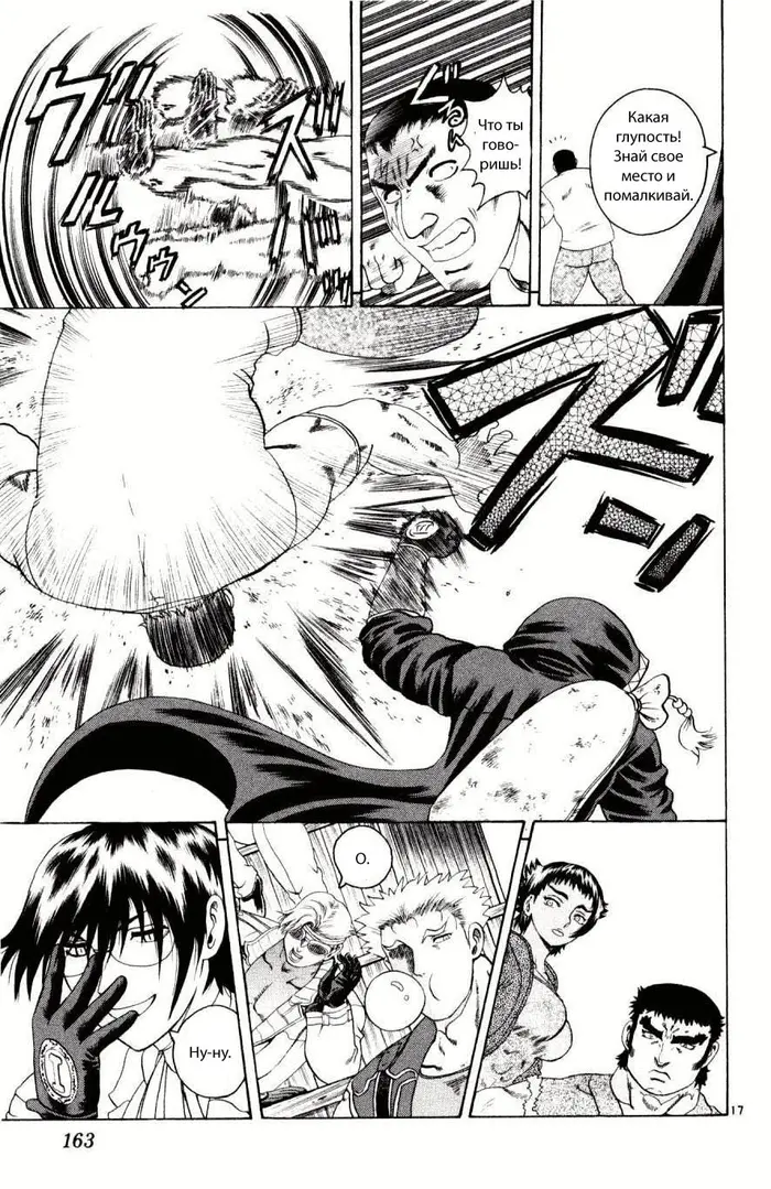 Страница 17