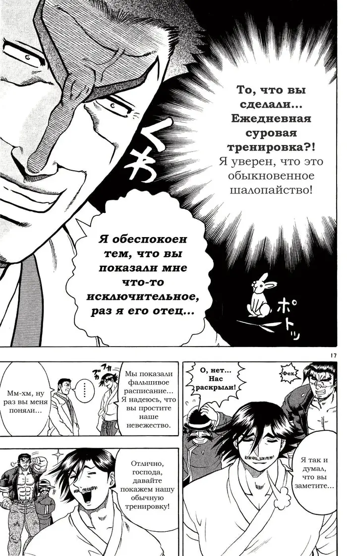 Страница 17